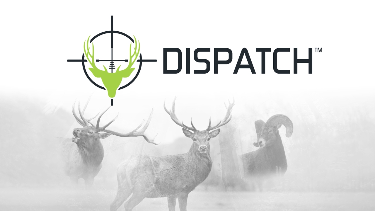 Introducing the new DISPATCH Reticle by Vanguard