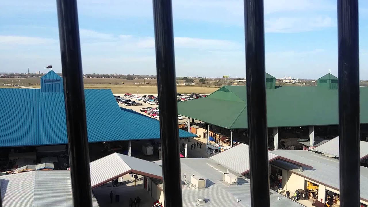 La Pulguita San Antonio Tx