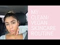 All Natural Vegan Low Waste Skin Care Routine 2019 | Sensitive/Normal Dry Skin