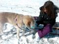 Allie eating snow