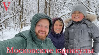 Как Антошка в Москву на Новогодние каникулы ездил.