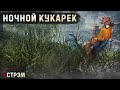 DayZ 1.21 | PERVAK | НОЧНОЙ КУКАРЕК