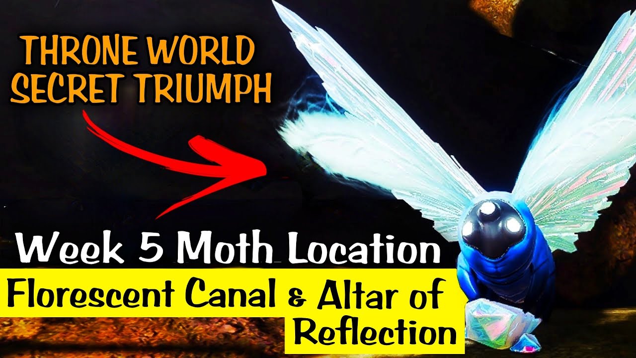 Destiny 2 : Lepidopterist Triumph - Week 5 Lucent Moth Locations