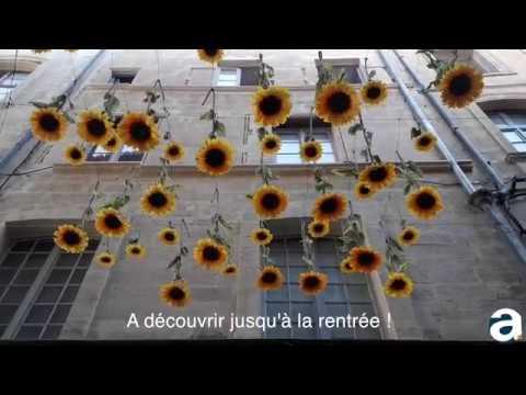 Avignon, rue des Fourbisseurs, un plafond de tournesols a été installé