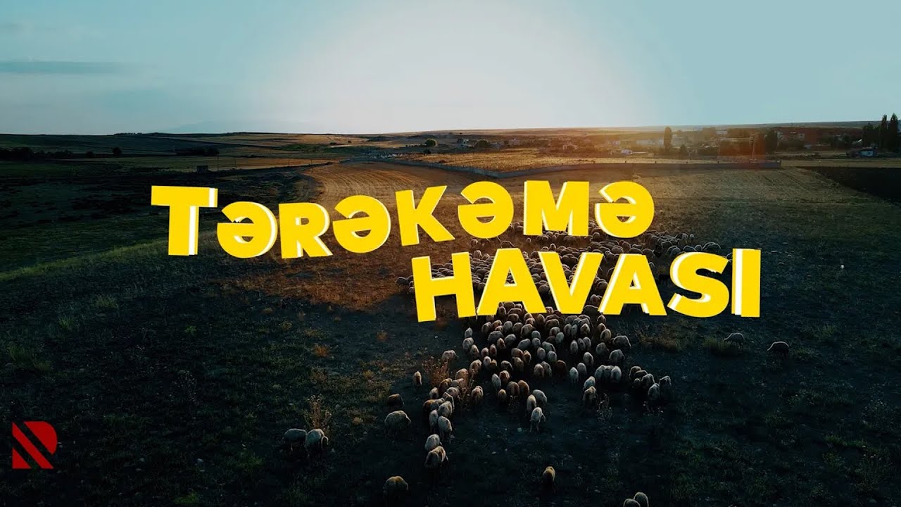 “Tərəkəmə havası” filmi | Beyləqan