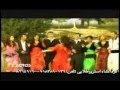 فریبرز نامداری زارا   