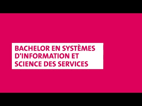 Bachelor en systèmes d'information et science des services