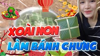 Xoài VLOG |  Xoài về quê tự tay làm bánh chưng tặng gia đình chồng