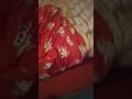 28 сентября 2025 г.