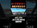 【着陸寸前】滑走路に見えたまさかの光景。