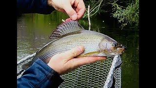 НАШЛИ СТАЮ ХАРИУСОВ / СПЛАВ НА КАНОЭ ПО РЕКЕ ТРЕНТ/ FOUND GRAYLING PACK / KAYAK FISHING RIVER TRENT