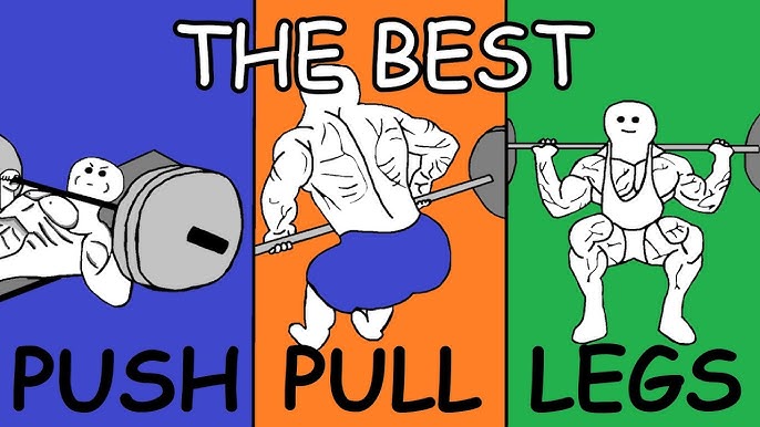 El mejor entrenamiento push pull legs para ganar más músculo