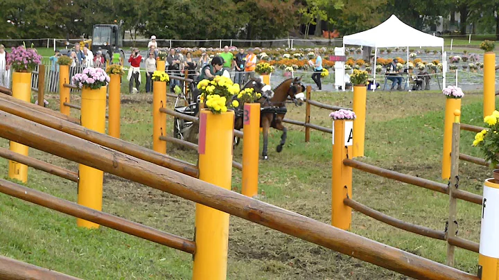 MATHESON Jennifer, USA, WCH Ponies, Pau 2013, Pony...
