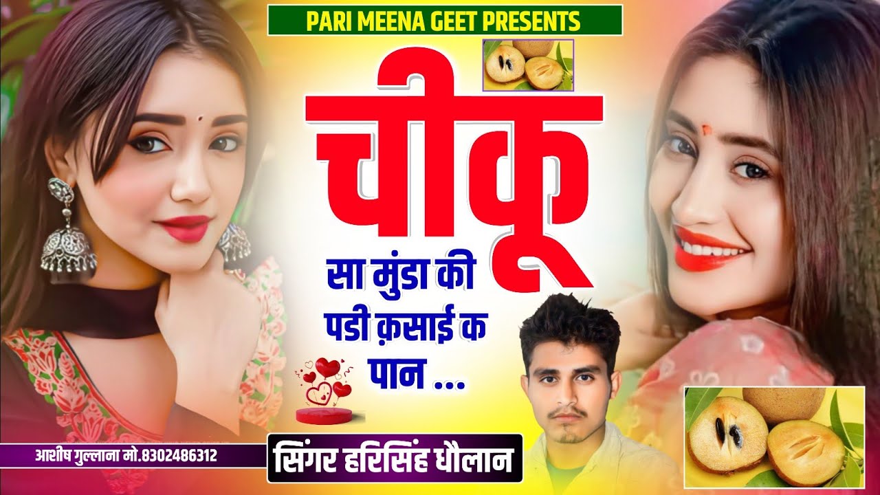 Real Love Story Song || चीकू सा मुंडा की पडी क़साई क पान || Harisingh Dholan Song || Meena Song...