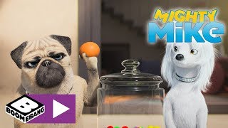 Mighty Mike Mike Plays Fetch Boomerang Uk