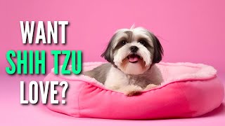Win Your Shih Tzu's Love with These 7 Tips!