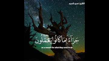 قرآن كريم بصوت عمير شميم صوت جميل | حالات واتس اب دينية - سورة الواقعة
