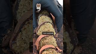 이마트 두쫀쿠 만들기 키트(약 3만원)