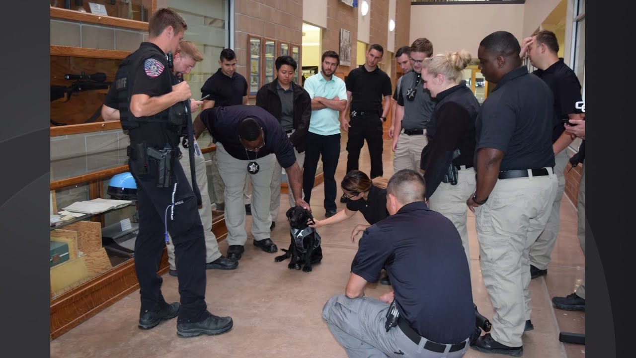 Rex Visited Arapahoe Sheriff's Office As Part Of Take Your Dog To Work Day