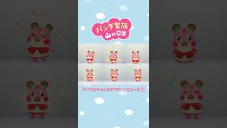 【あつ森アニメ】アップルちゃんのかわいいニュース🍎 #Shorts #あつ森