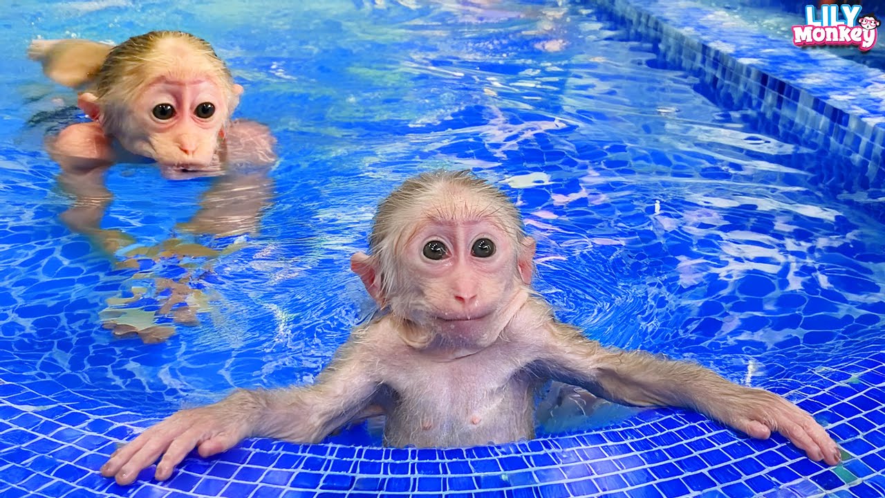 Lily is enjoying a refreshing dip in the pool during the blazing summer heat | Lily's story