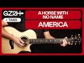 A Horse With No Name Guitar Tutorial America Guitar Chords Easy Chords Solo 