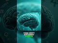 Compulsive Behaviors: Signs of Anxiety in Seniors, Understand It Now! #anxiety #depression