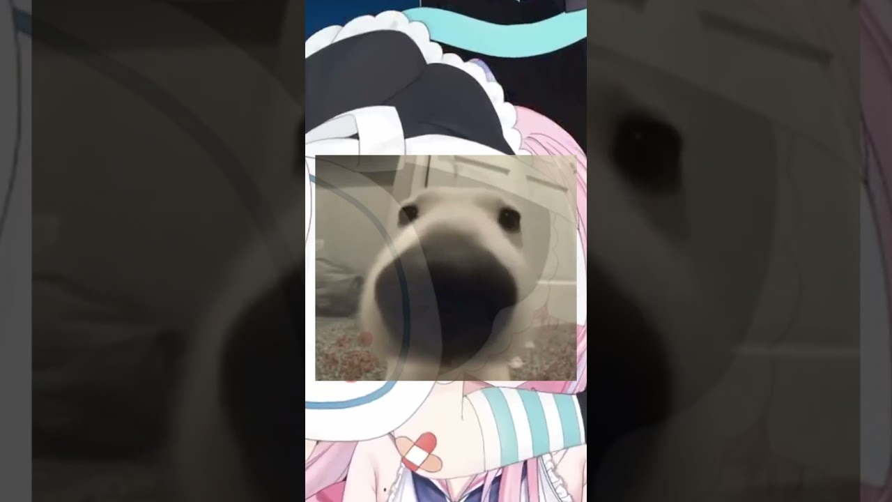 Blue cat maid girl is so cute @krumroll  ... #vtuber #envtuber #shorts