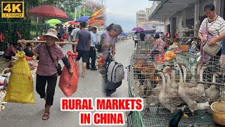 Local Traditional Chinese Markets In Guangdong China Guangzhou Walk Tour 2025