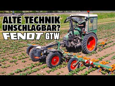 Vintage Tech with RTK | Fendt 231 GTW Hoeing Sugar Beets