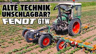 Alte Technik mit RTK | Fendt 231 GTW beim Rüben hacken