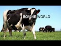 SonoScape&#39;s Newest Black and White Bovine Veterinary Ultrasound Machine - E1V - KeeboVet