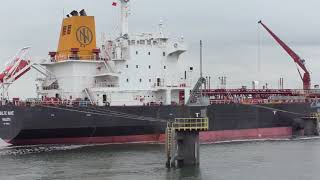 Shipspotting Rotterdam 05. 2019 Part 2 #16