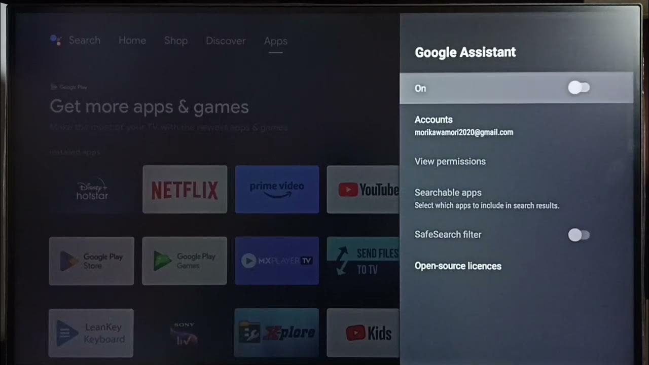 TCL Android TV How to Fix Voice Control or Google Assistant Not