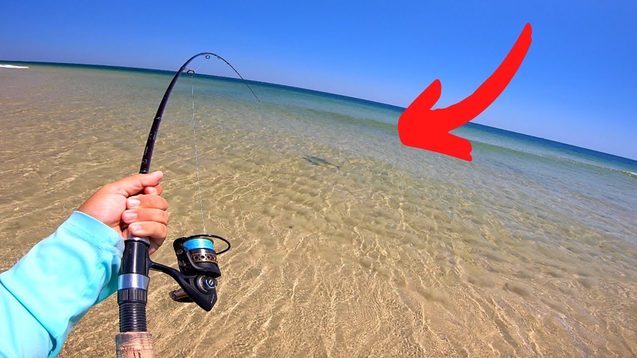 Download Sight Fishing a BEAST in Crystal Clear Water!! **LADDER Surf Fishing**