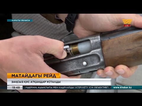 Бейне: «Қара бидайдағы аулаушы» фильміндегі Антолини кім?