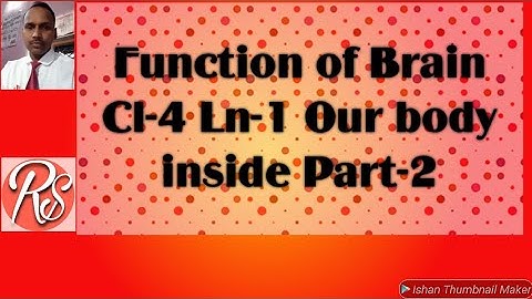 Part 2 cl 4 Evs our body inside Heart