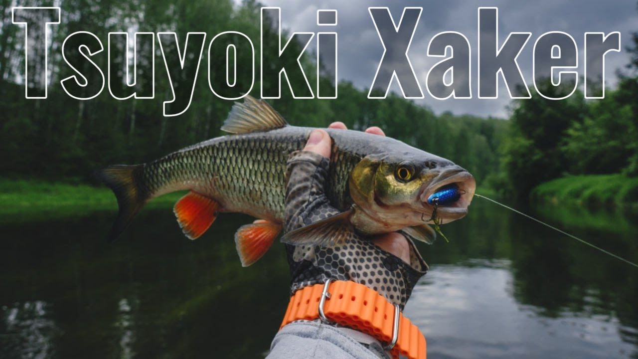 Голавль на Tsuyoki Xaker. Сплав по малой реке