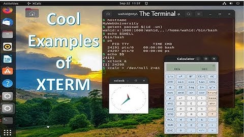 Some Cool Examples of Using ‘xterm’
