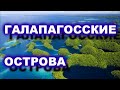 Галапагосские острова с Дмитрием Сапаровым  / TimonFix