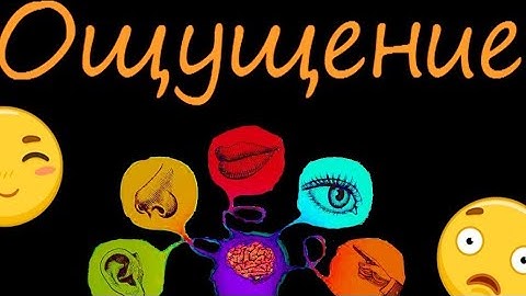 #ОЩУЩЕНИЕ ИЛИ #УБЕЖДЕНИЕ ВЕЧЕРНИЙ ЭФИР 🌟 ссылки в описании 👌