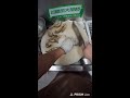Late night cooking vibes and satisfying sounds｜ POV