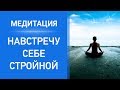 Медитация НАВСТРЕЧУ СЕБЕ СТРОЙНОЙ