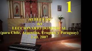 Video thumbnail of "ALELUYA Litúrgico nº  1 . Del Leccionario Dominical"