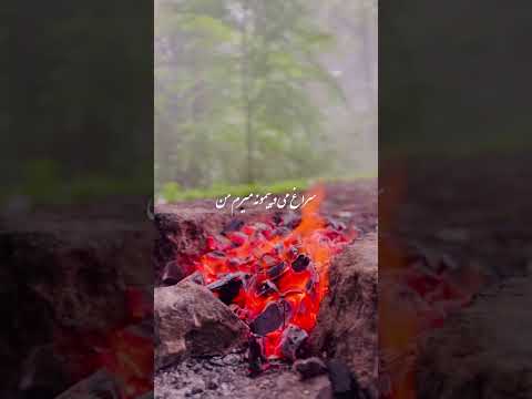 شبا همش به میخونه میرم من 