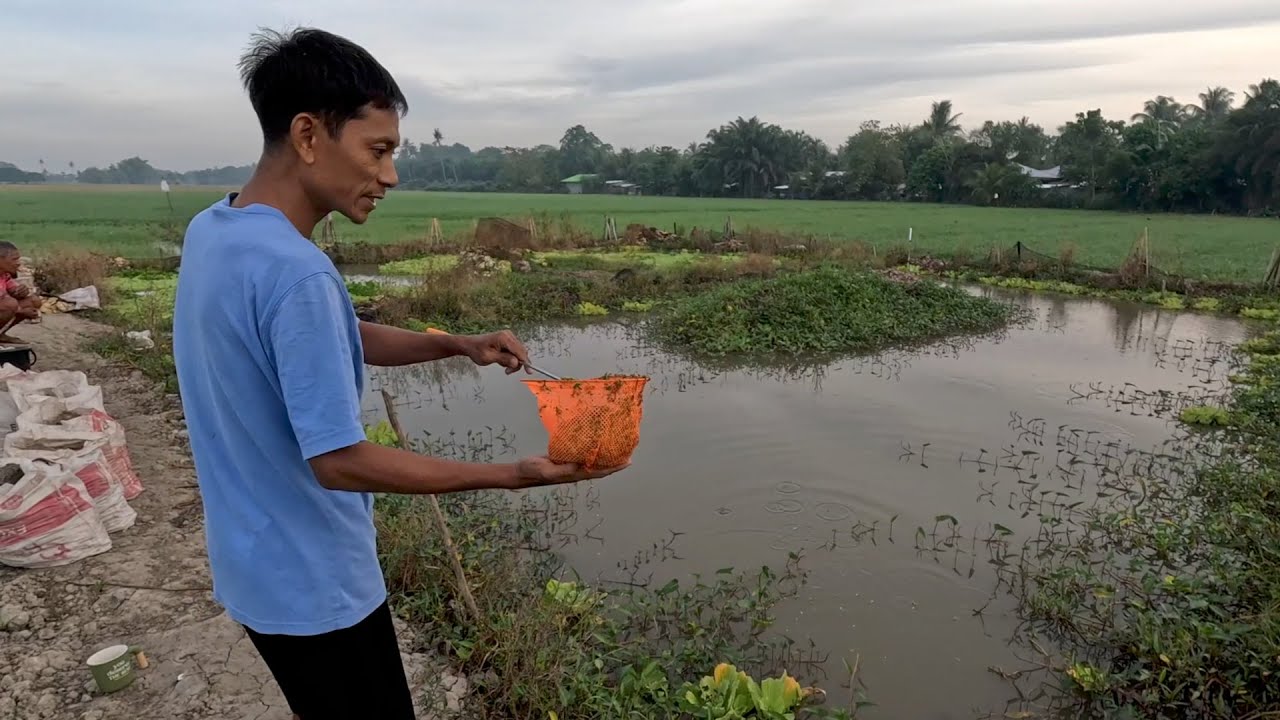 Bumili tayo ng kambing