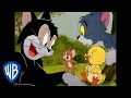 Tom & Jerry em Português | Brasil | Melhores Coadjuvantes | WB Kids