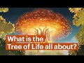 We studied the tree of life in the bible heres what we found