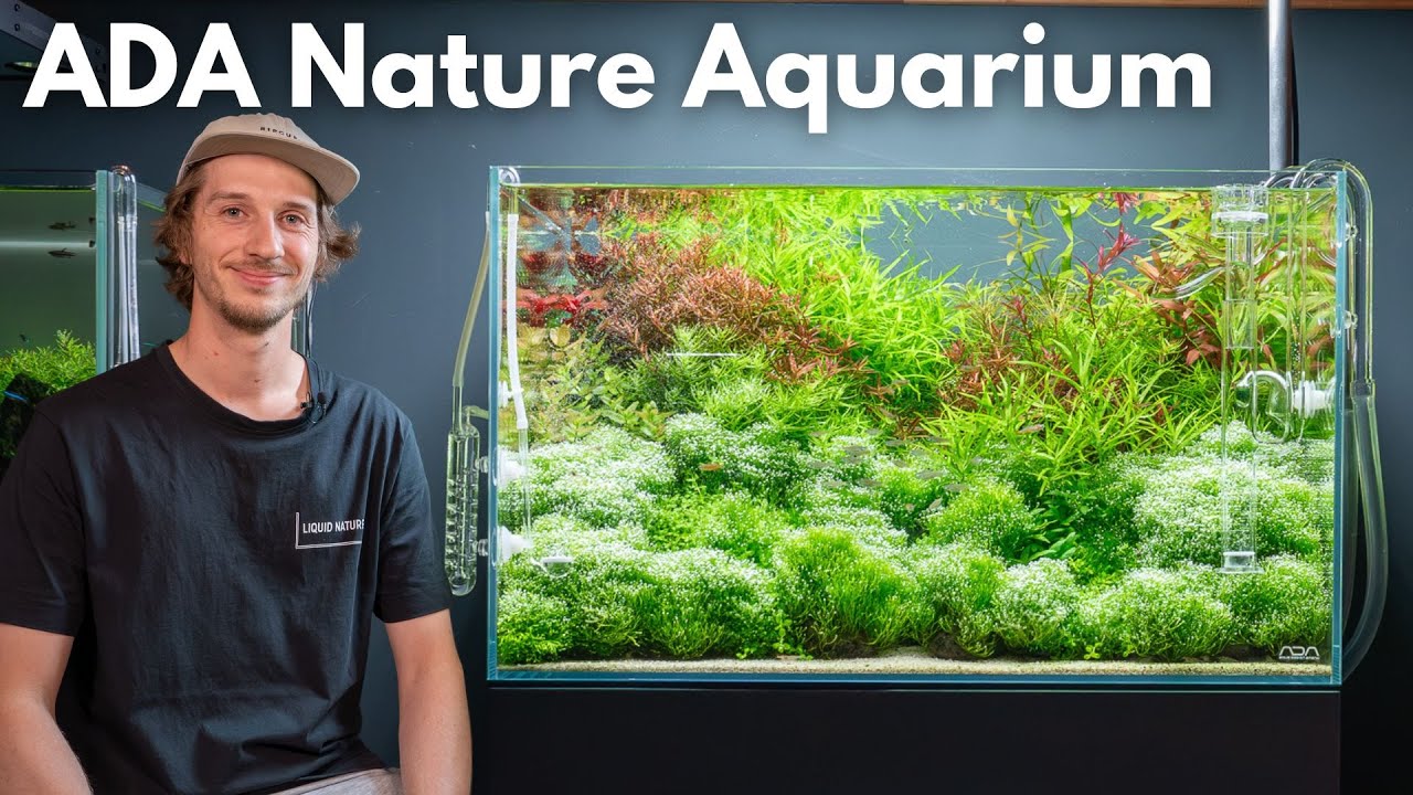 ADA 60P45 | Liquid Nature Aquarium Vorstellung - YouTube