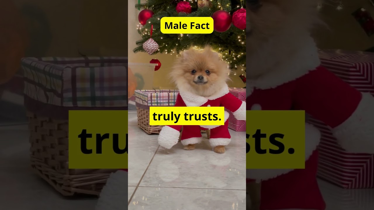 A man will only be vulnerable with someone he...